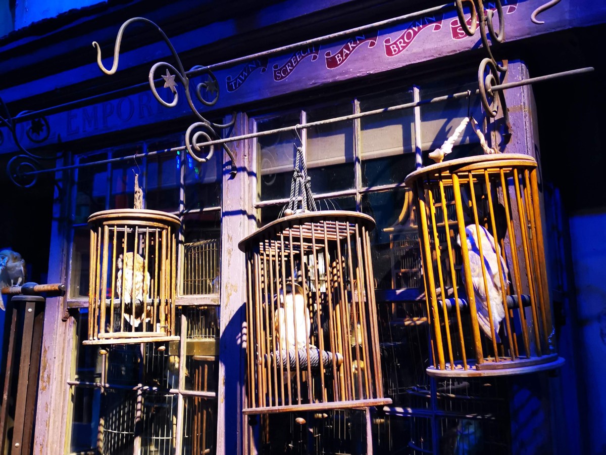 45+ Easy Harry Potter Quiz Questions & Answers Quiz Trivia Games