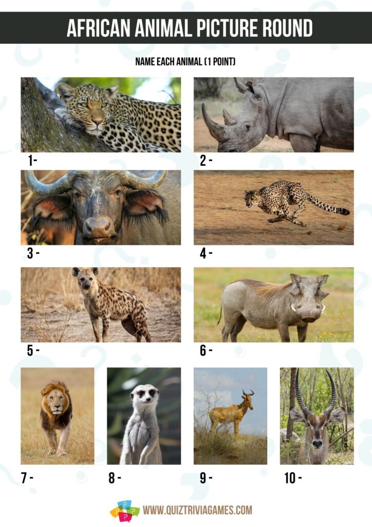 African Animal Picture Quiz