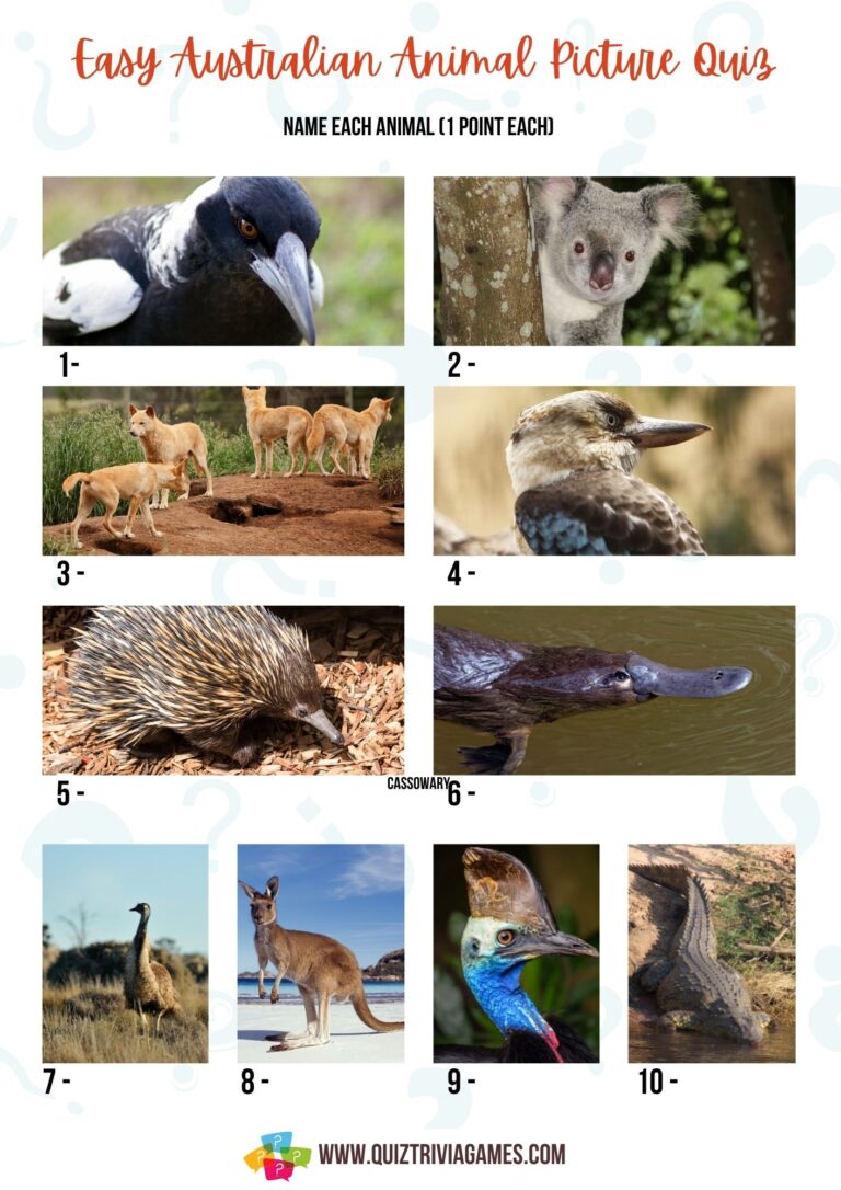 50+ Australian Animals Quiz Questions And Answers - Quiz Trivia Games
