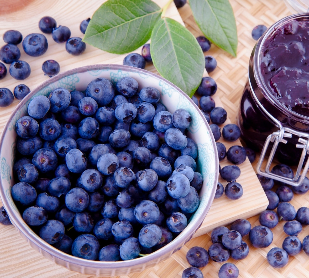 Blueberry Fruit