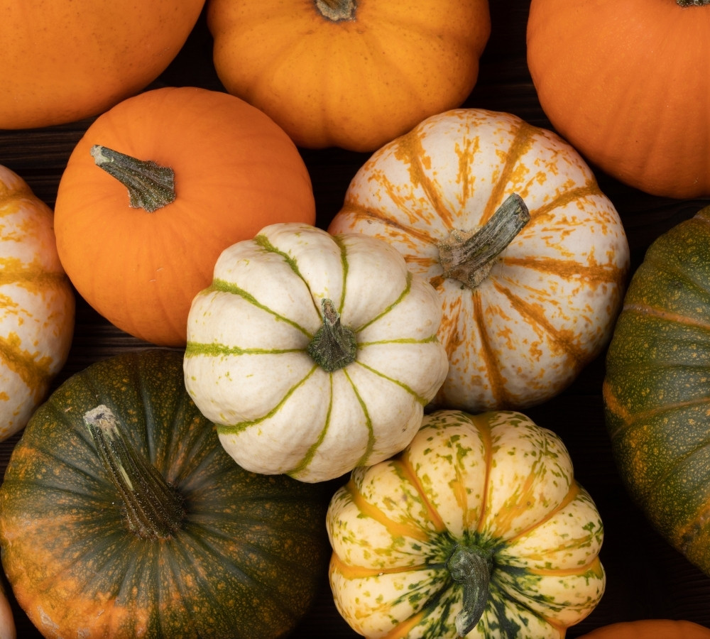 many pumpkin