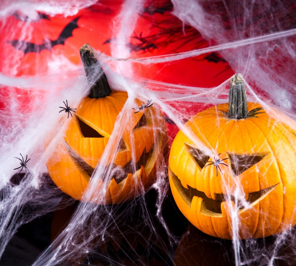 pumpkin jack with spider web