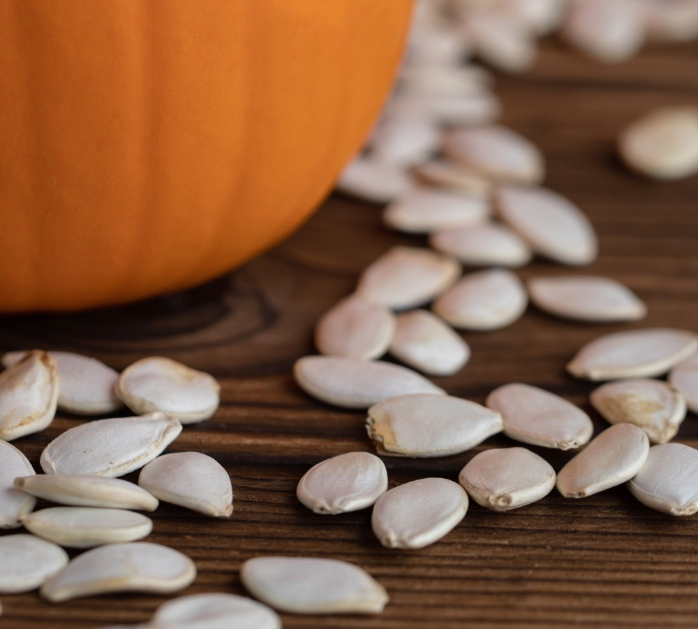 pumpkin seeds