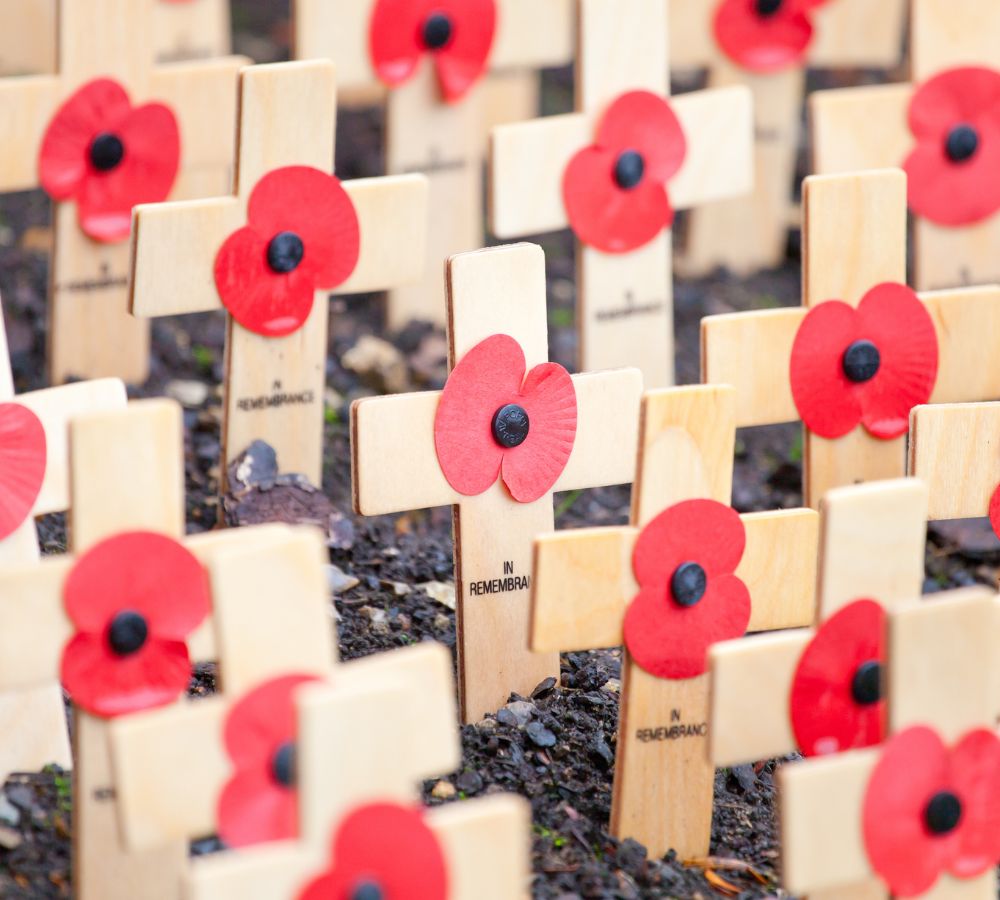 remembrance day poppies in the UK