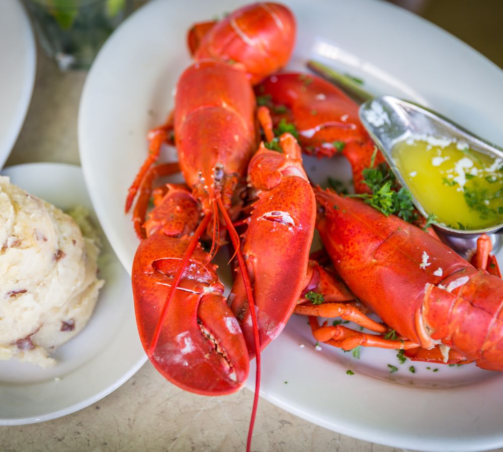 Lobster dinner