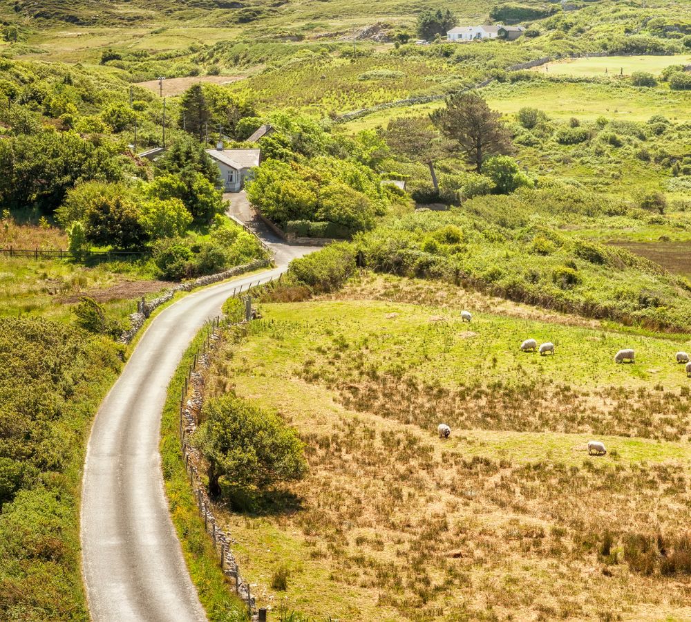 Ireland Countryside