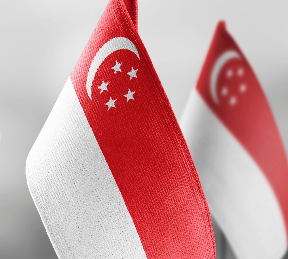 national flag of the Singapore