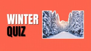 Winter Quiz